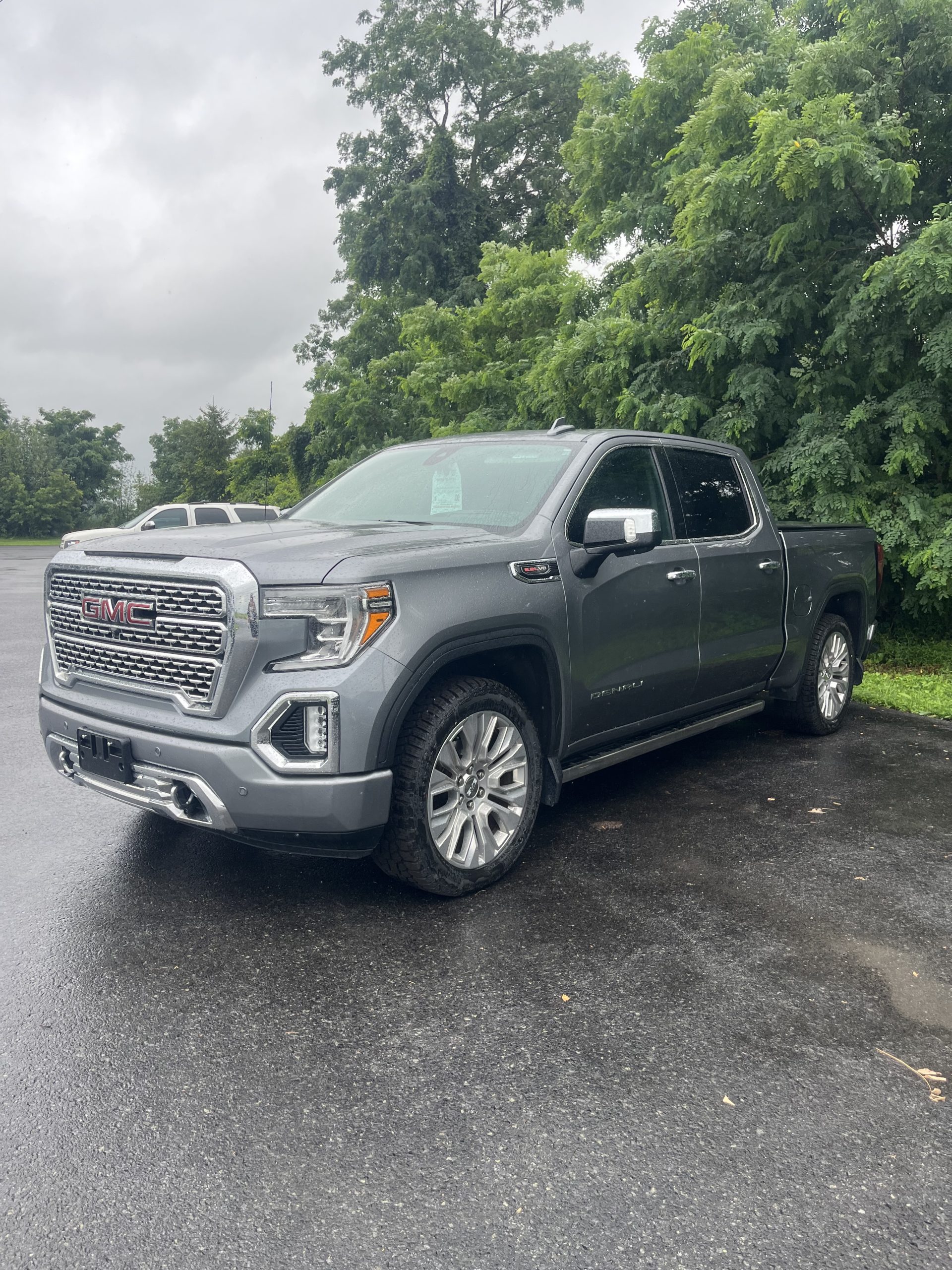 Denali 2021
